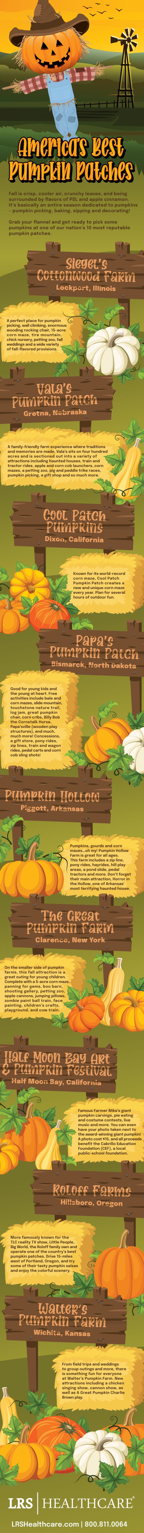 best pumpkin patches in America infographic